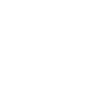 check icon