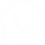 whatsapp Icon