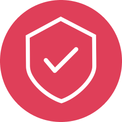 Seguridad icon